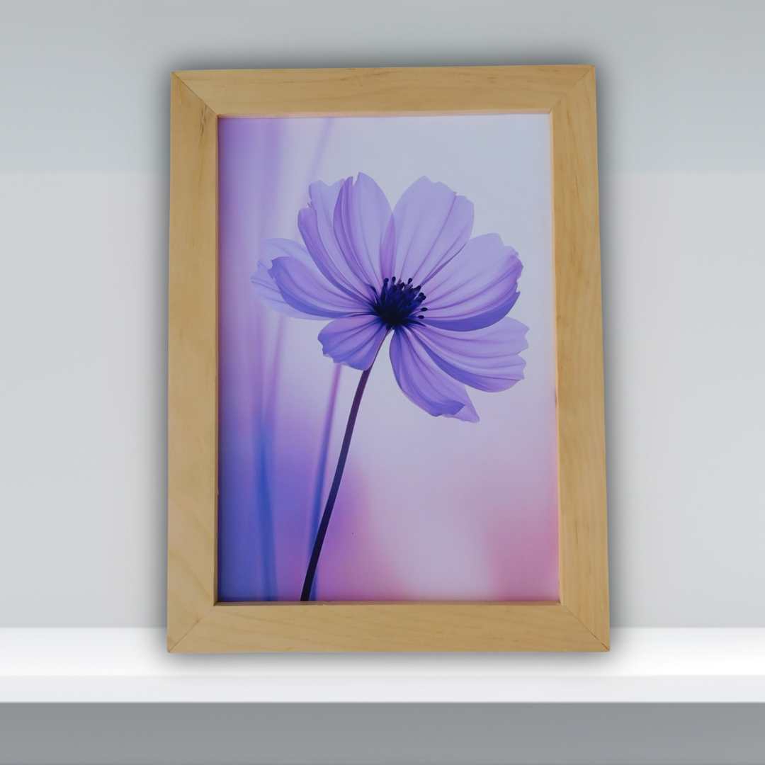 Serene Purple Cosmos Flower Framed Art