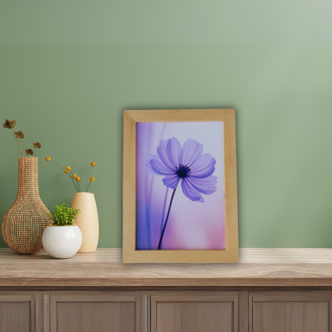 Serene Purple Cosmos Flower Framed Art