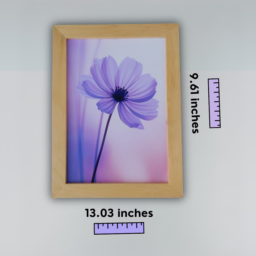 Serene Purple Cosmos Flower Framed Art